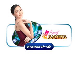 Casino trực tiếp trực tuyến tại Vietnam từ Sexy Gaming