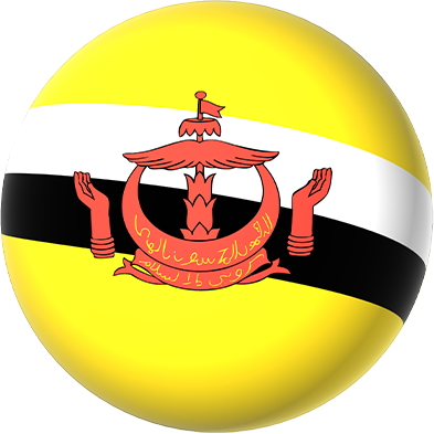B9Casino Malaysia Flag Icon