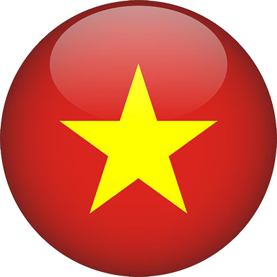 B9Casino Vietnam Flag Icon